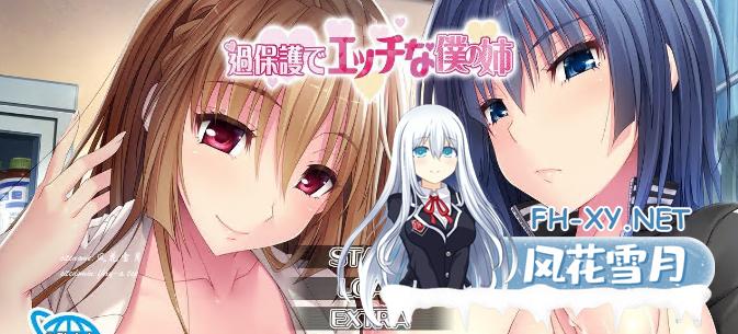 [拔作ADV/汉化]过度保护且色情的我的姐姐 AI汉化版+全CG存档[新汉化][2.4G]