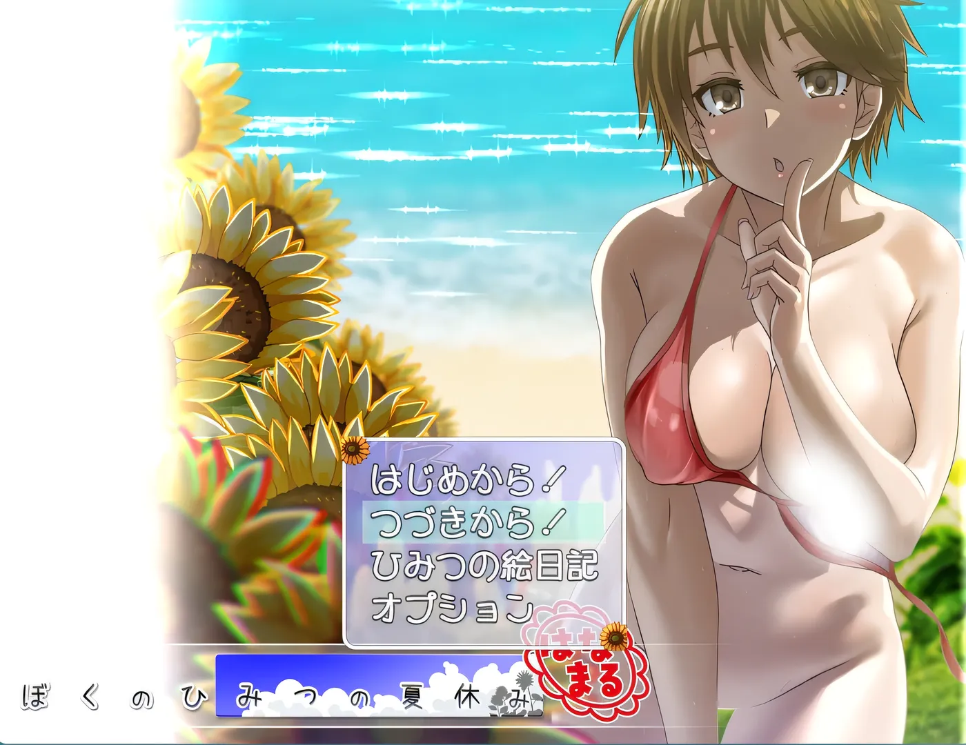我秘密的暑假时光 重置版 挂载AI汉化版+存档 [新作/522.4M]