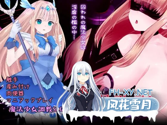 [3D-SLG] DL官方中文+更新  极限改変魔法少女 神秘・皓月    極限改変魔法少女ミスティック・ルーン  [400M]